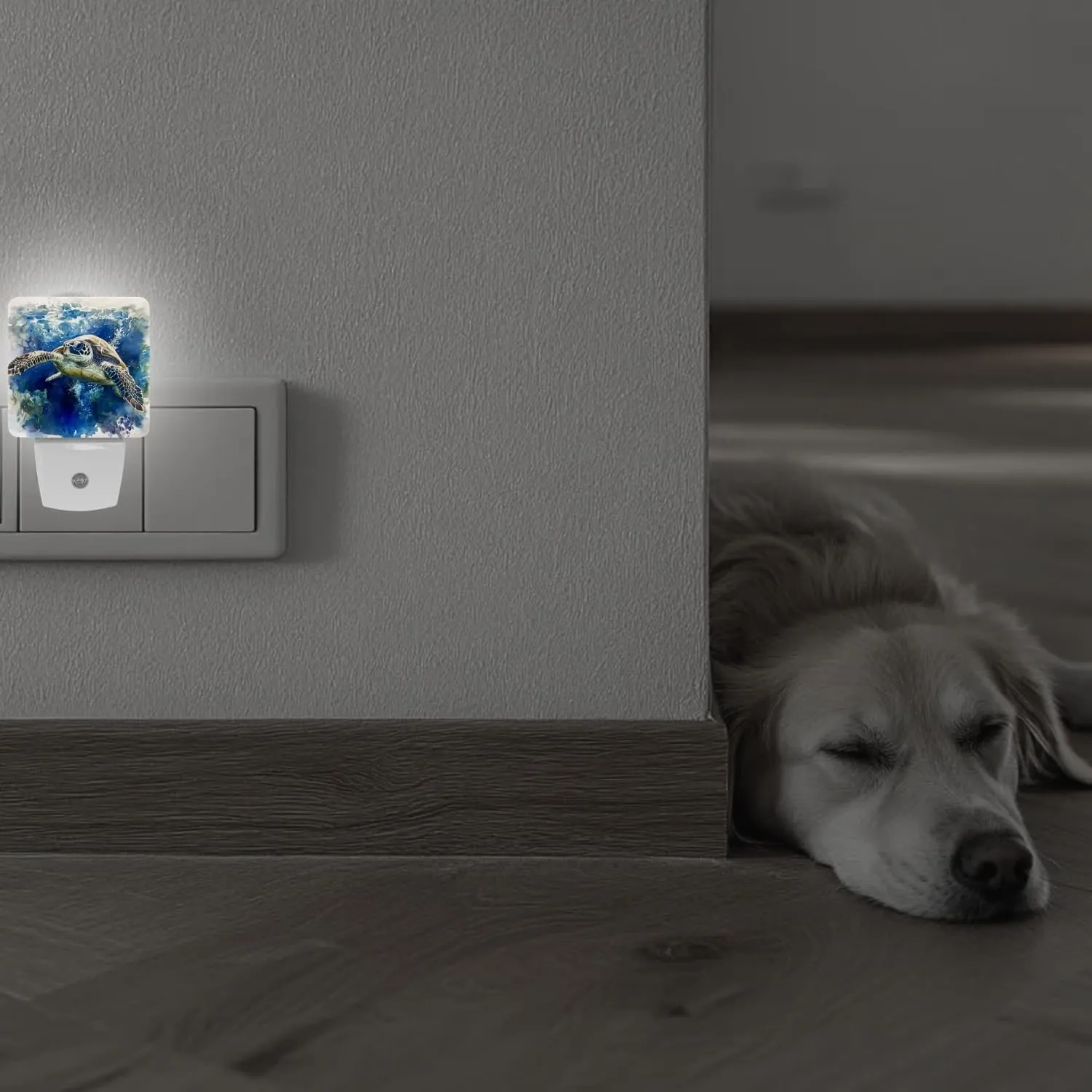 2 Pack Plug-in Night Lights - Automatic Sensor Dusk-to-Dawn LED Warm Sweet Wall Nightlight for Home, Bedroom, Kitchen, Hallway (Blue Sea Turtle)