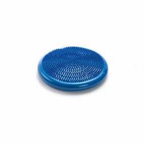 Balance Disc