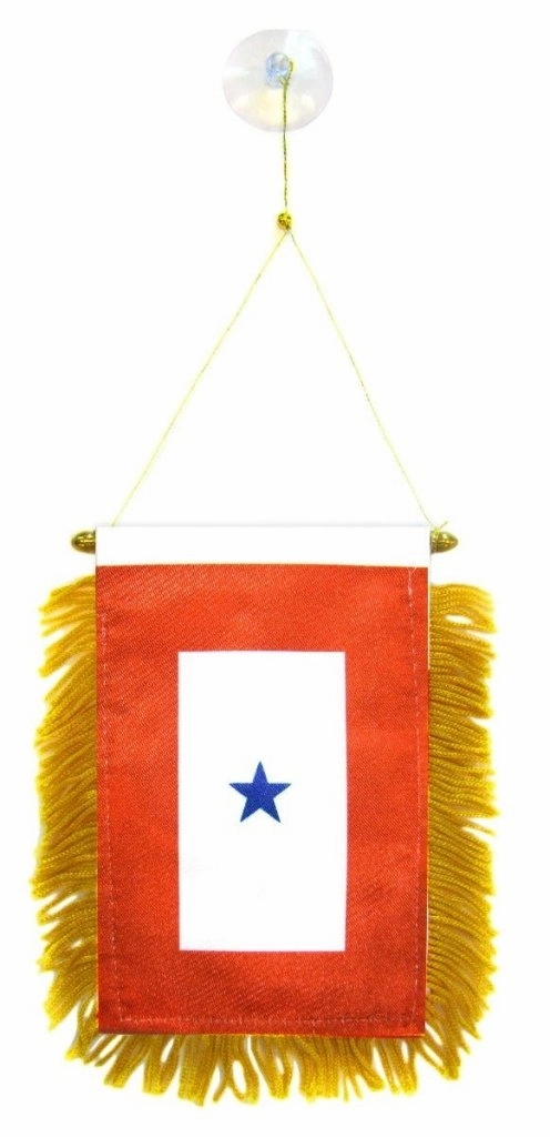 Blue Star Service (1 Star) Mini Banner