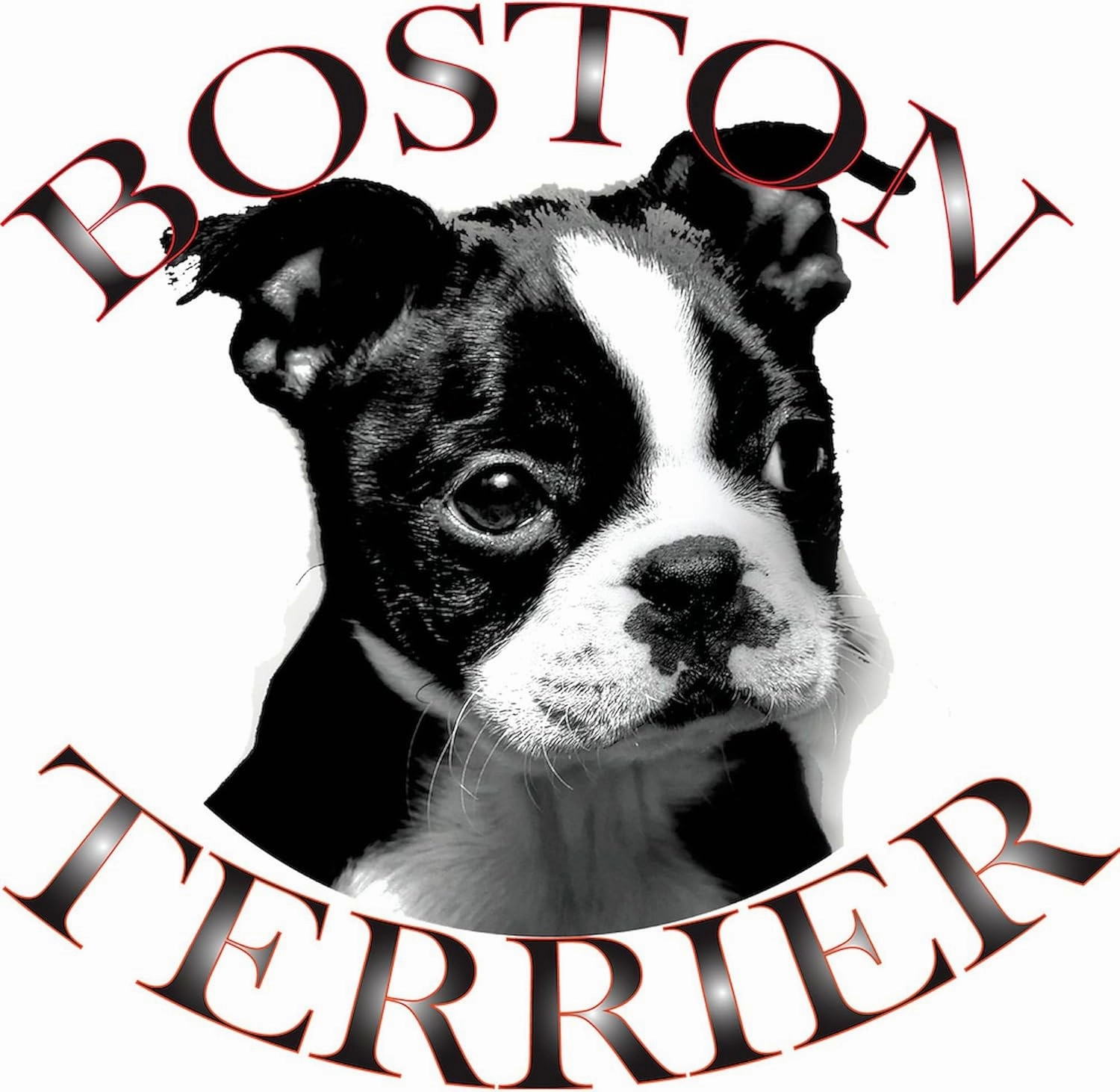 CafePress Boston Terrier Women's Light Pajamas Women's Novelty Cotton Pajama Set, Comfortable PJ Sleepwear