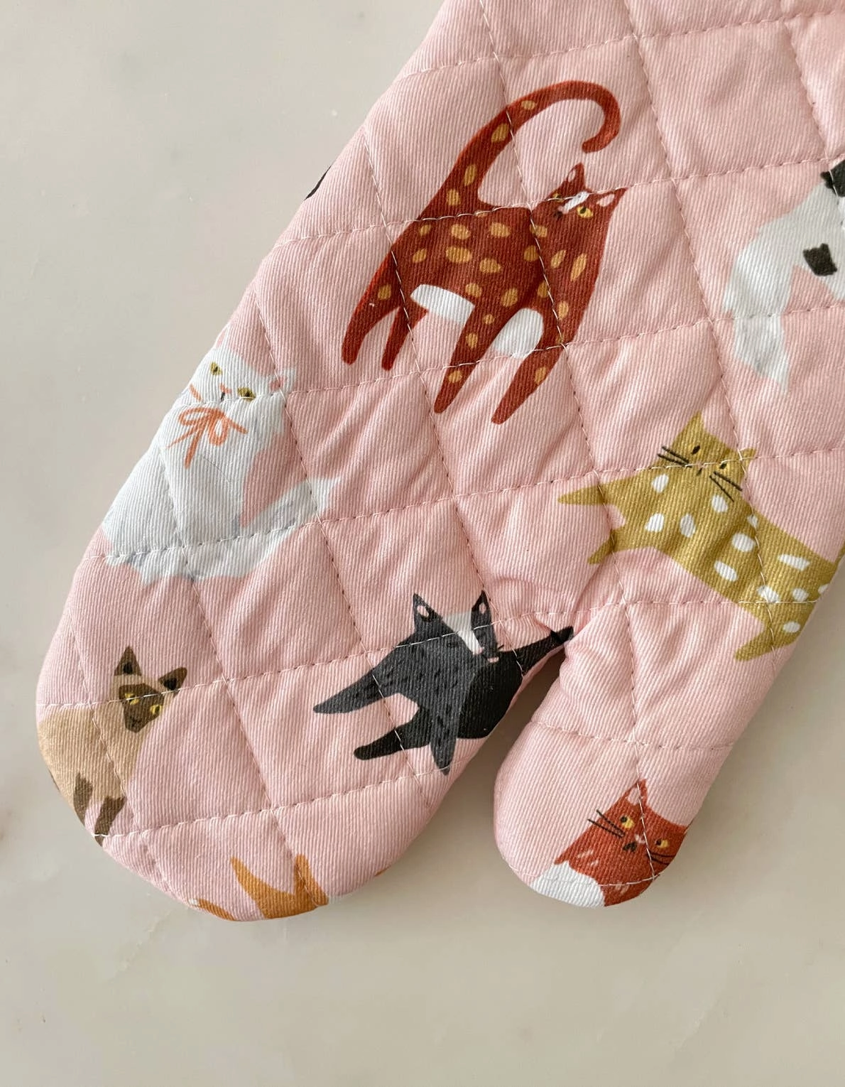 Cats Oven Mitt   Pot Holder Set