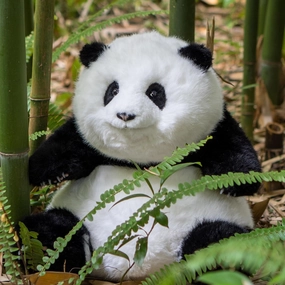 Chongker Weighted Panda Stuffed Animals, Panda Plush for Companion “HeHua”, Handmade Realistic Giant Big Plush 4.6LBS, 16.5" Lifelike Animals