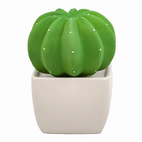 Dotti Cactus, Non-Electric Ceramic Diffusers for Essential Oils and Aromatherapy Fragrance, White Ceramic Diffusers in Car or Desk Office Decor and Small Bathroom at Home, White Vase