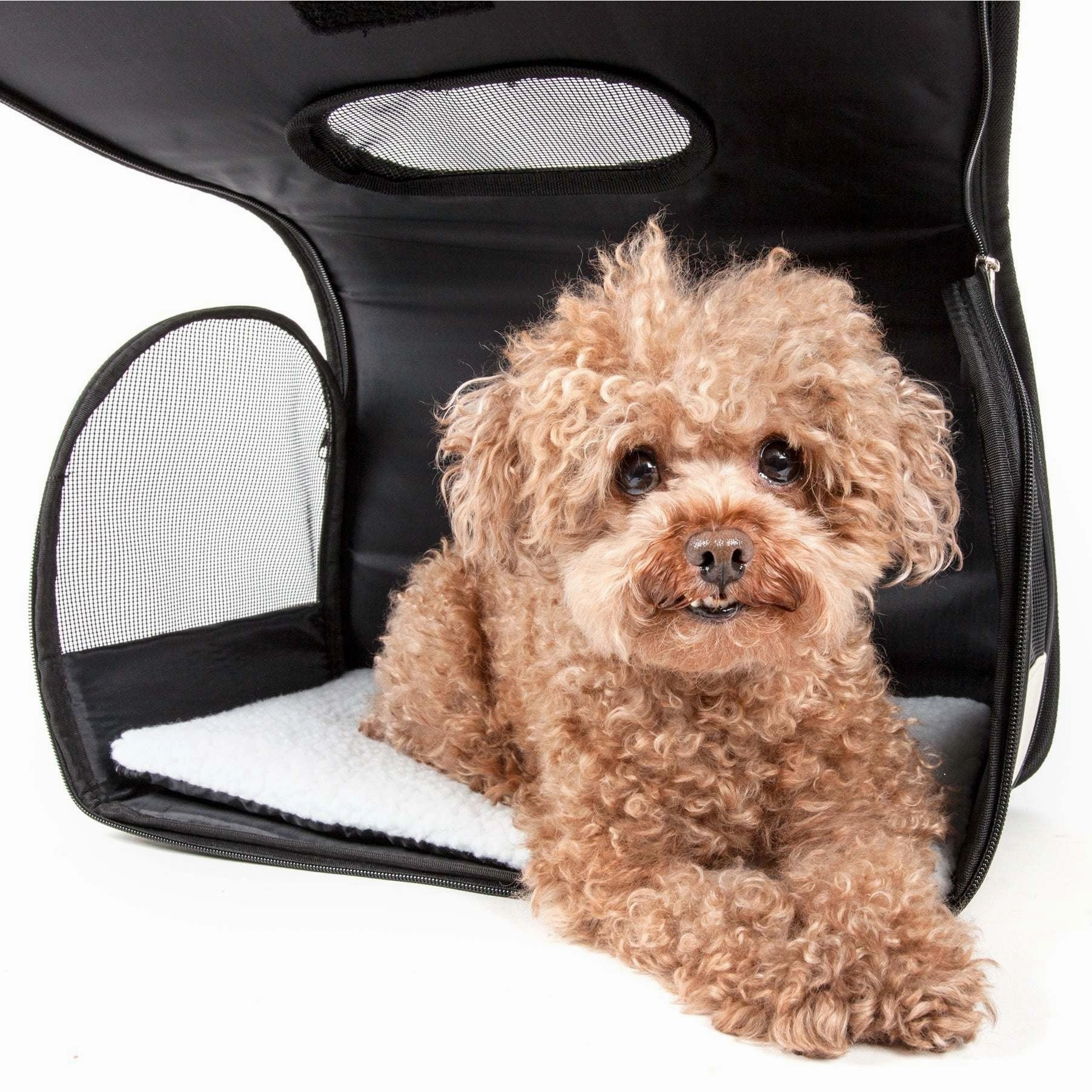 Explorer Pet Carrier
