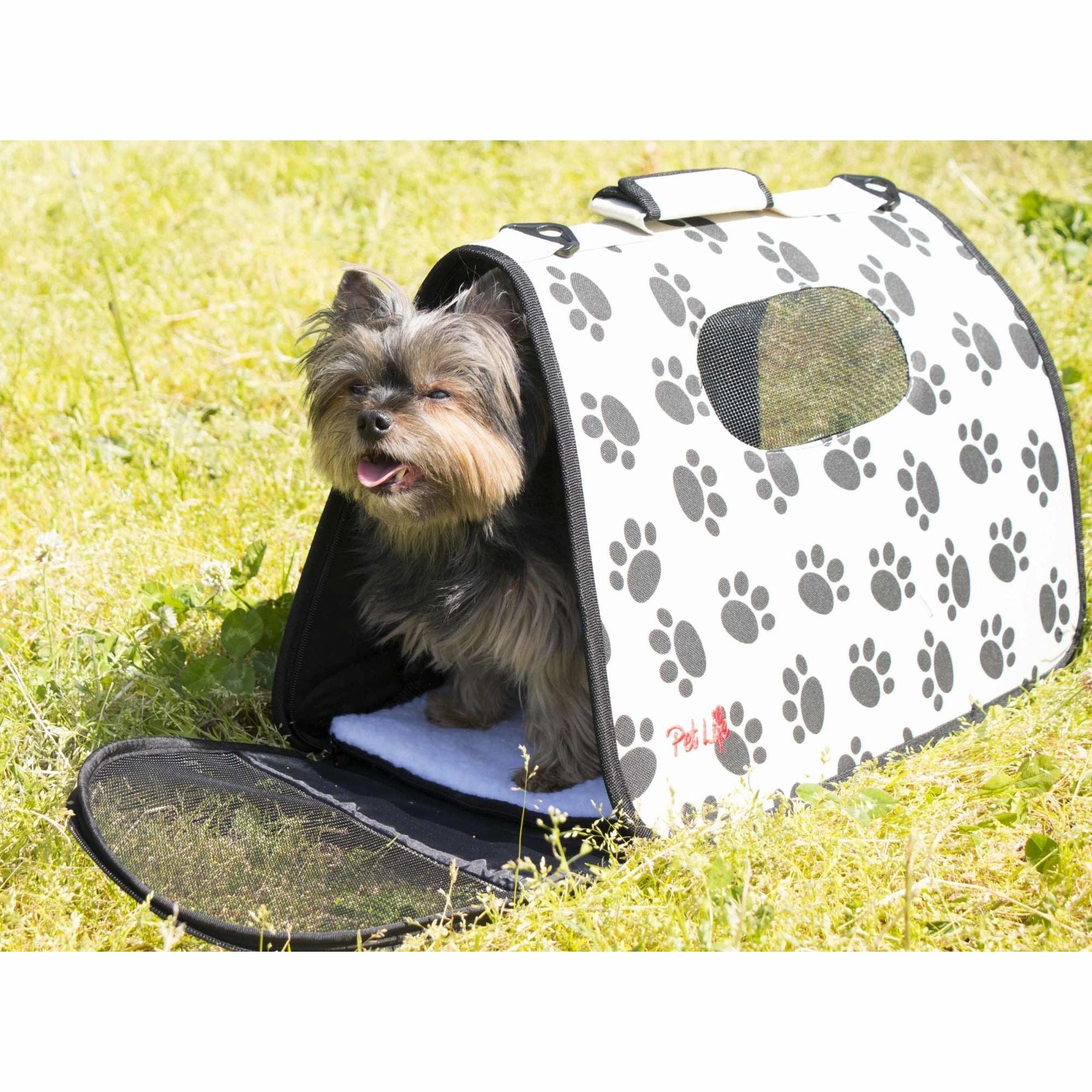 Explorer Pet Carrier