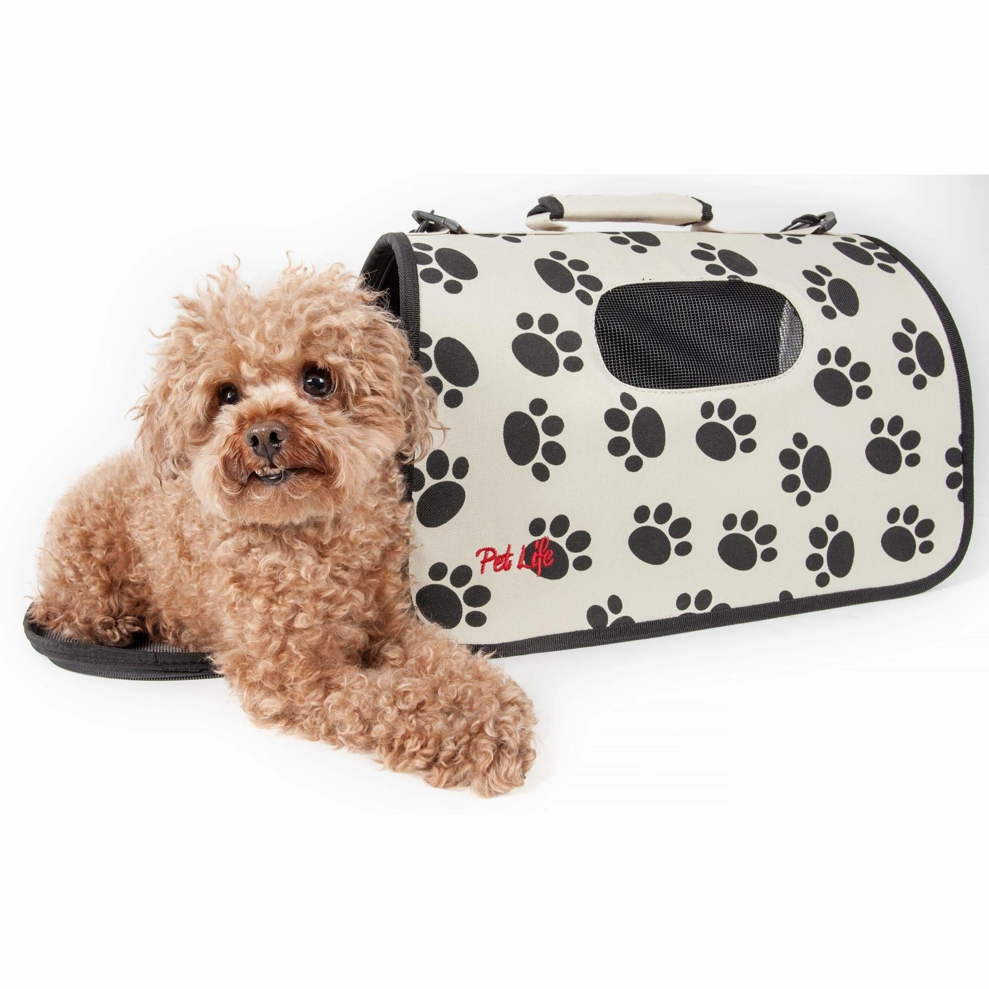 Explorer Pet Carrier