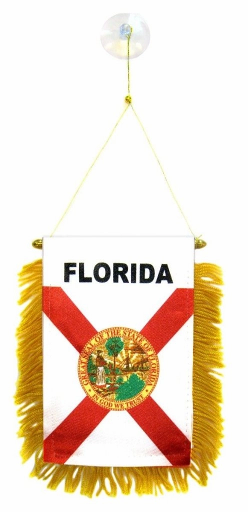 Florida Mini Banner