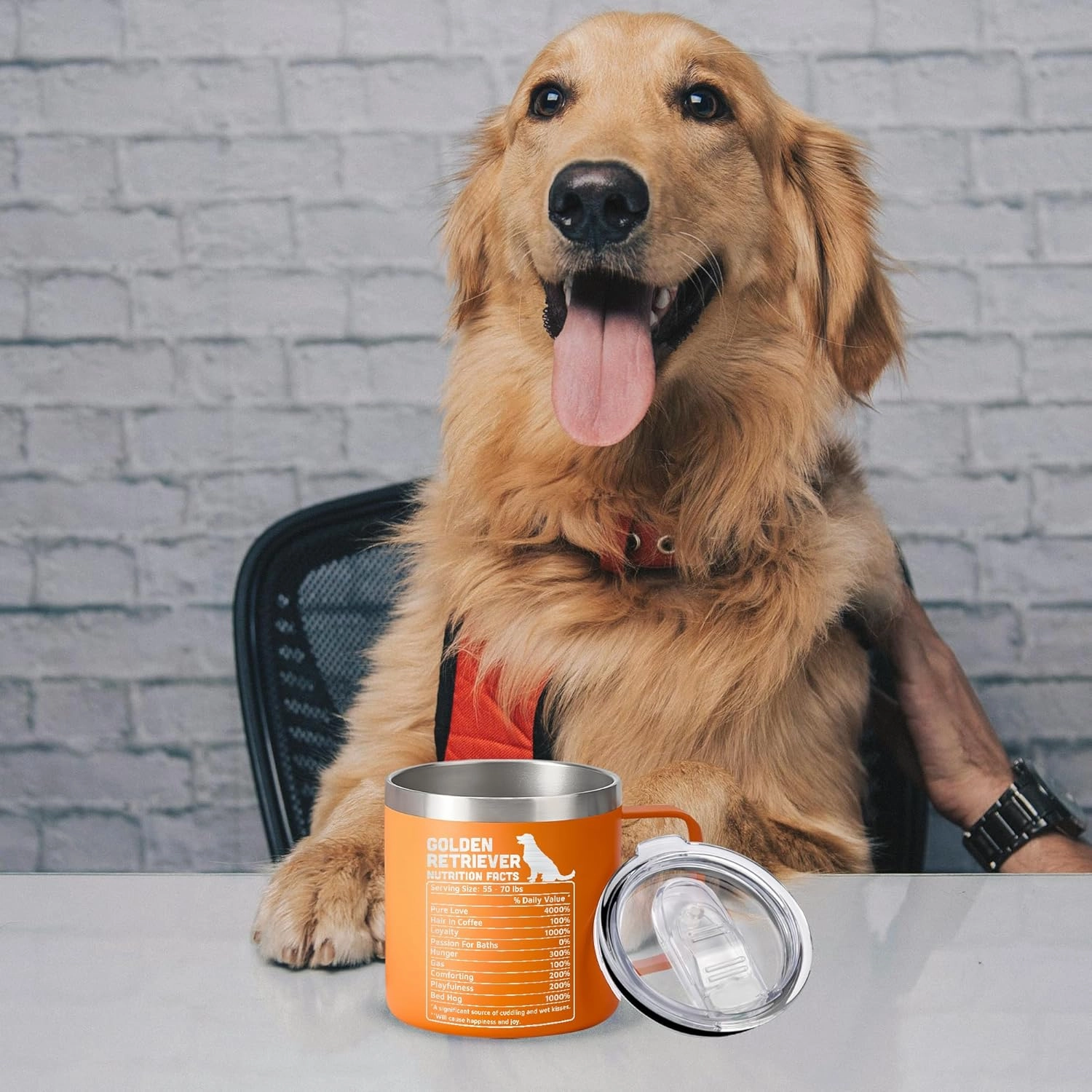 Golden Retriever Mug – 14oz Stainless Steel Tumbler Cup, Funny and Unique Gift for Golden Retriever Dog Lovers and Owners, Perfect for Mothers Day, Fathers Day, and Birthday Celebrations