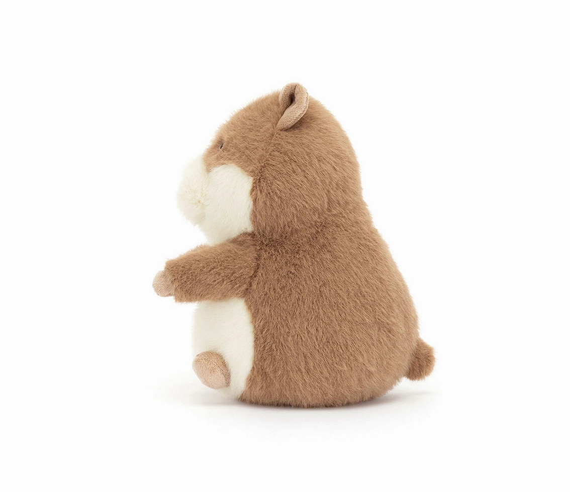 Gordy Guinea Pig