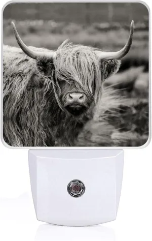 Highland Cow Night Light, Plug-into Wall Cows Nightlight Lamp with Dusk to Dawn Sensor, Led Lamp 0.5W Energy Efficient for Boys Girls Adults Home Decor