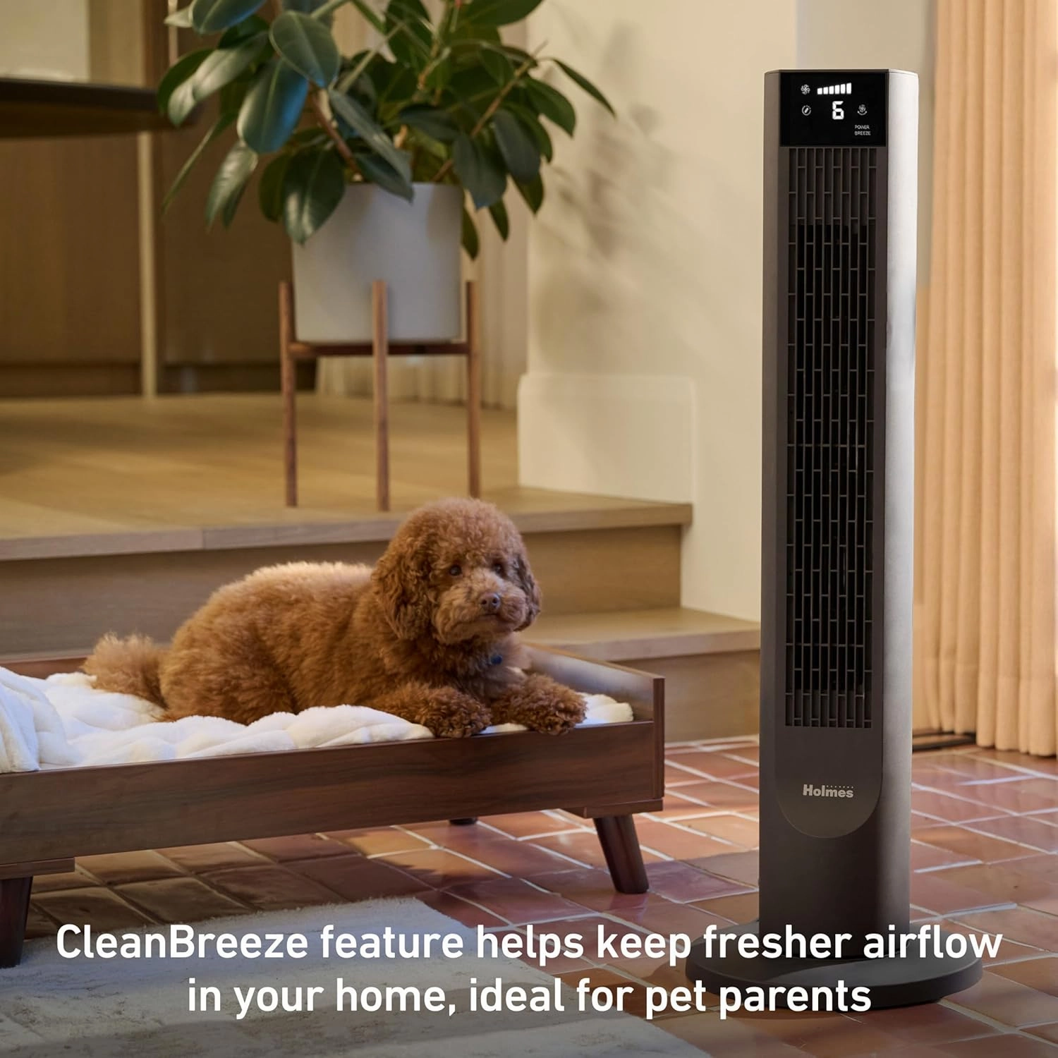 Holmes 36" CleanBreeze Digital Tower Fan with Removable Blade, ClearRead Display, 75° Oscillation, 6 Speeds, 4 Modes, 12-Hour Timer, Home, Bedroom or Office, Remote Control, Matte Black