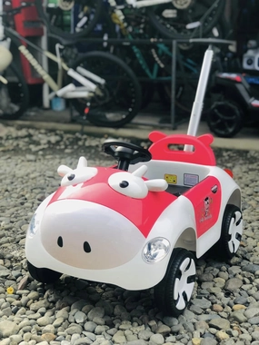 LBB-5188 Cute Insect toy car