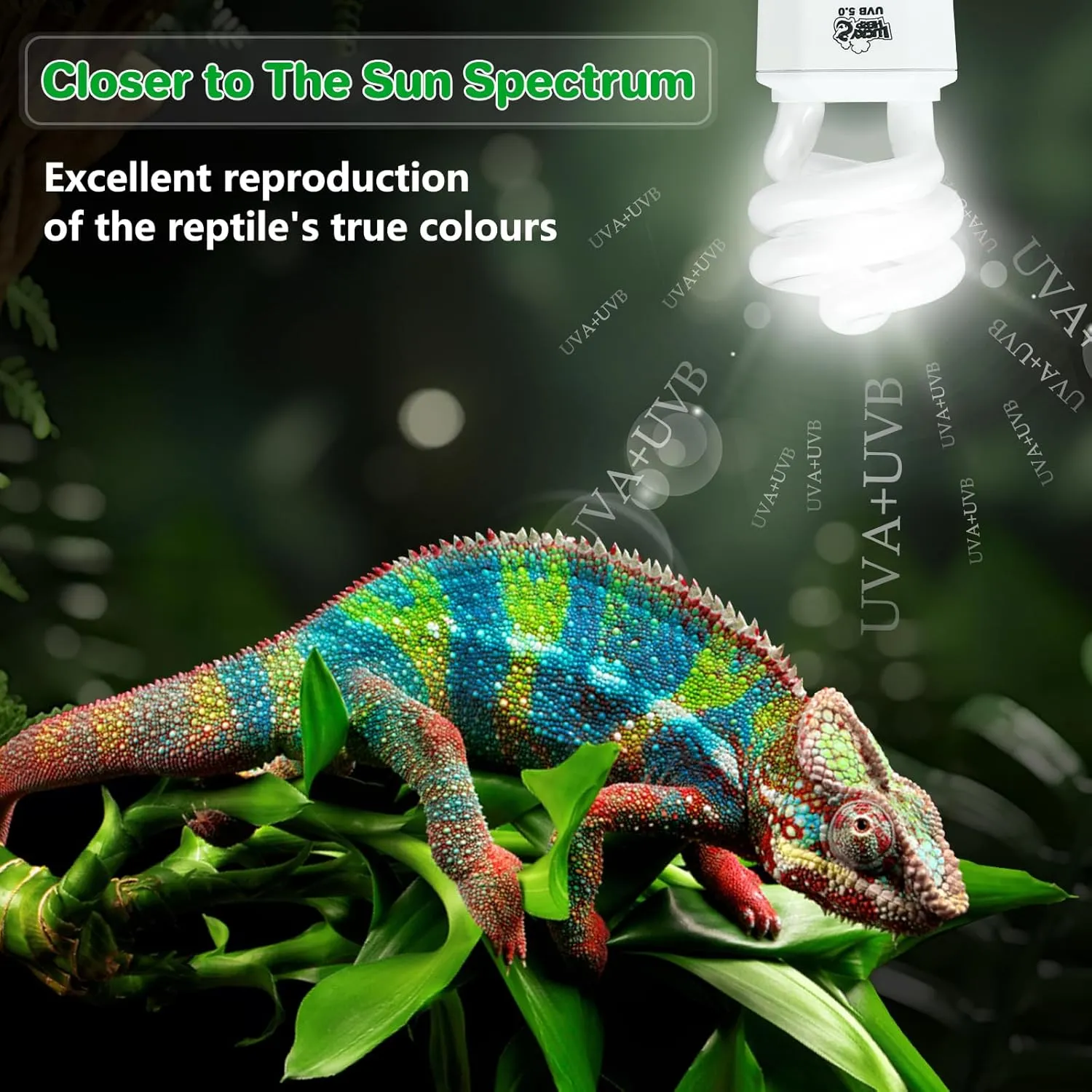LUCKY HERP UVA UVB Reptile Light 5.0, Tropical UVB 100 Compact Fluorescent Lamp, UVB Light for Reptiles 15W, UVA UVB Reptile Light Bulb, UVB Bulb for Reptiles Chameleons Lizards Tortoises Snakes