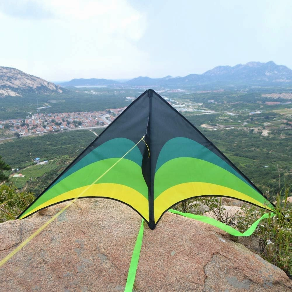 Mint's Colorful Life 60'' Delta Kite With 7.1in Reel Winder, Easy Flying & String Spool for Kids & Adults, Best Beach Set for Beginners