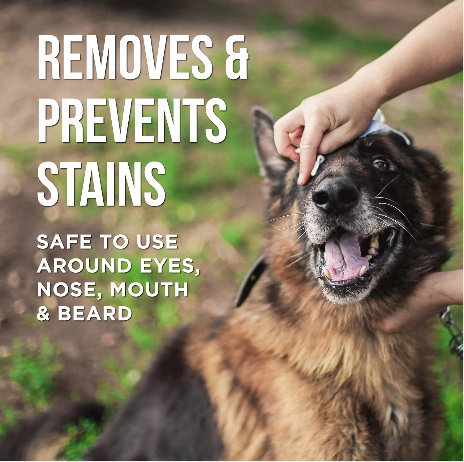 Natural Rapport Dog & Pet Tear Stain Remover - The Only Eye Tear Stain Remover Dogs Need - Dog and Cat Tears Stain Removing Treatment (8 fl oz.)