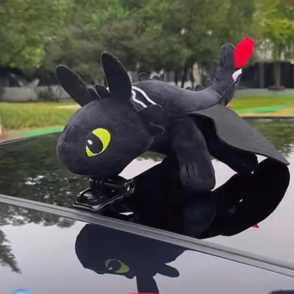 New Car Roof Decorations