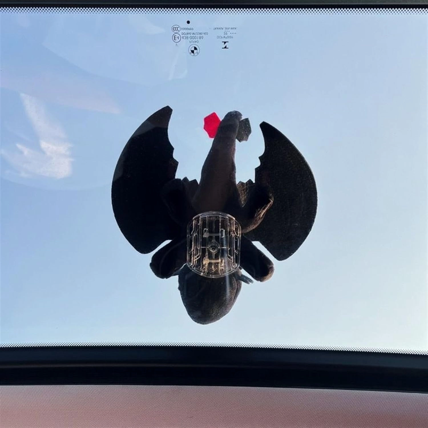 New Car Roof Decorations