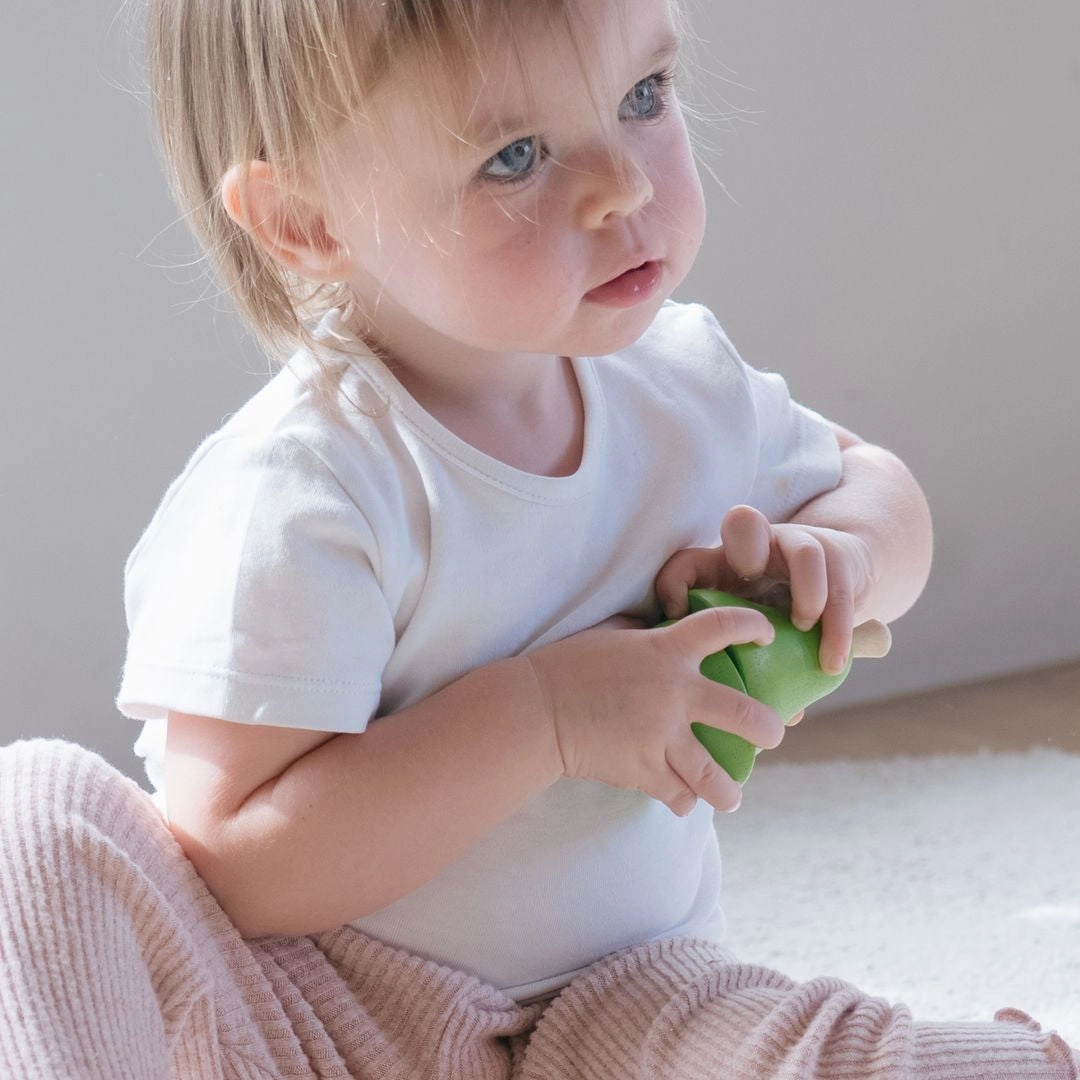 Plan Toys Fruit & Vegetable Play Set