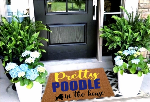 Pretty Poodle