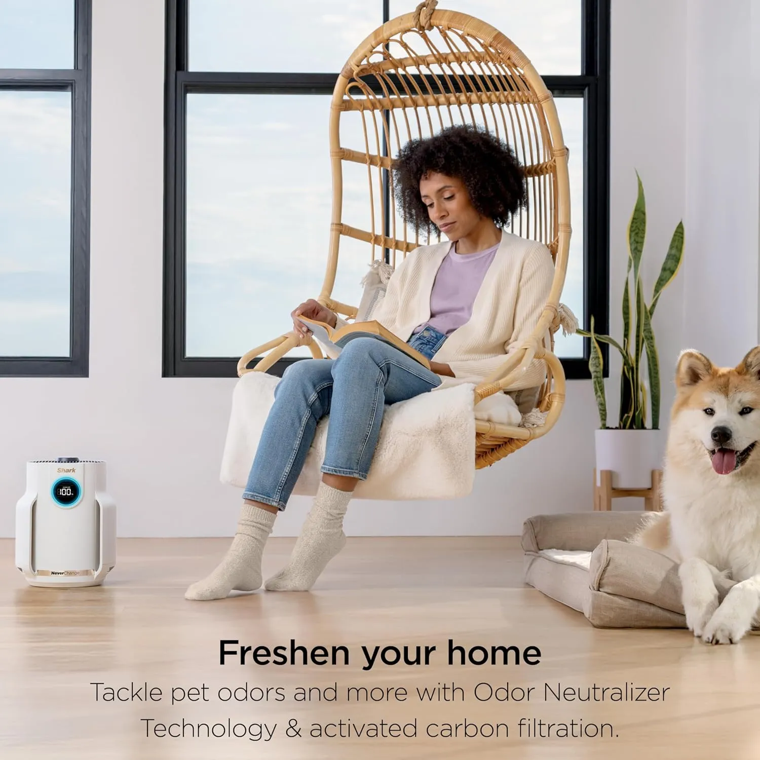 Shark NeverChange Air Purifier Compact Pro, Long-Lasting HEPA-Exceeding Filtration, For Pet Dander, Dust, Smoke, Allergens, Up to 250 sq. ft., Odor Neutralizer, Bedroom, Nursery, Dorm, HP072 (2025)