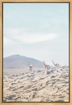 SIGNFORD Framed Canvas Print Wall Art Arabian Desert Landscape with Camel Trio Places Wilderness Photography Realism Southwest Scenic Colorful for Living Room, Bedroom, Office - 16x24 Natural