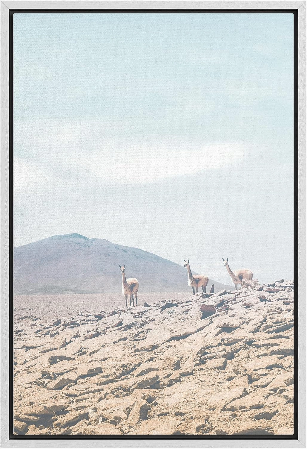 SIGNFORD Framed Canvas Print Wall Art Arabian Desert Landscape with Camel Trio Places Wilderness Photography Realism Southwest Scenic Colorful for Living Room, Bedroom, Office - 16x24 White