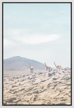 SIGNFORD Framed Canvas Print Wall Art Arabian Desert Landscape with Camel Trio Places Wilderness Photography Realism Southwest Scenic Colorful for Living Room, Bedroom, Office - 16x24 White