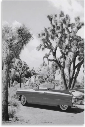 silanod Vintage Road Trip Black And White Desert Cars And Cactus Poster Canvas Wall Art Poster For Room Aesthetic And Decor Pictures Poster For Living Room Bedroom Decor 08x12inch(20x30cm)