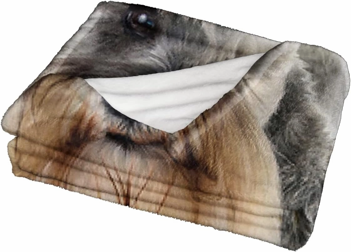 SOULZZZ Grey Schnauzer Flannel Blanket Super Soft Warm Dog Throw Blanket Cozy Warm Puppy Dog Throw Blanket for Couch Chair Bed Sofa Office Cute Schnauzer Dog Gifts Throw 50 x 60 Inches