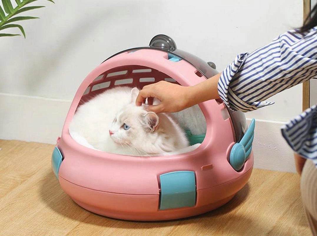 Space Capsule Pet Carrier Bag - Breathable Travel Backpack