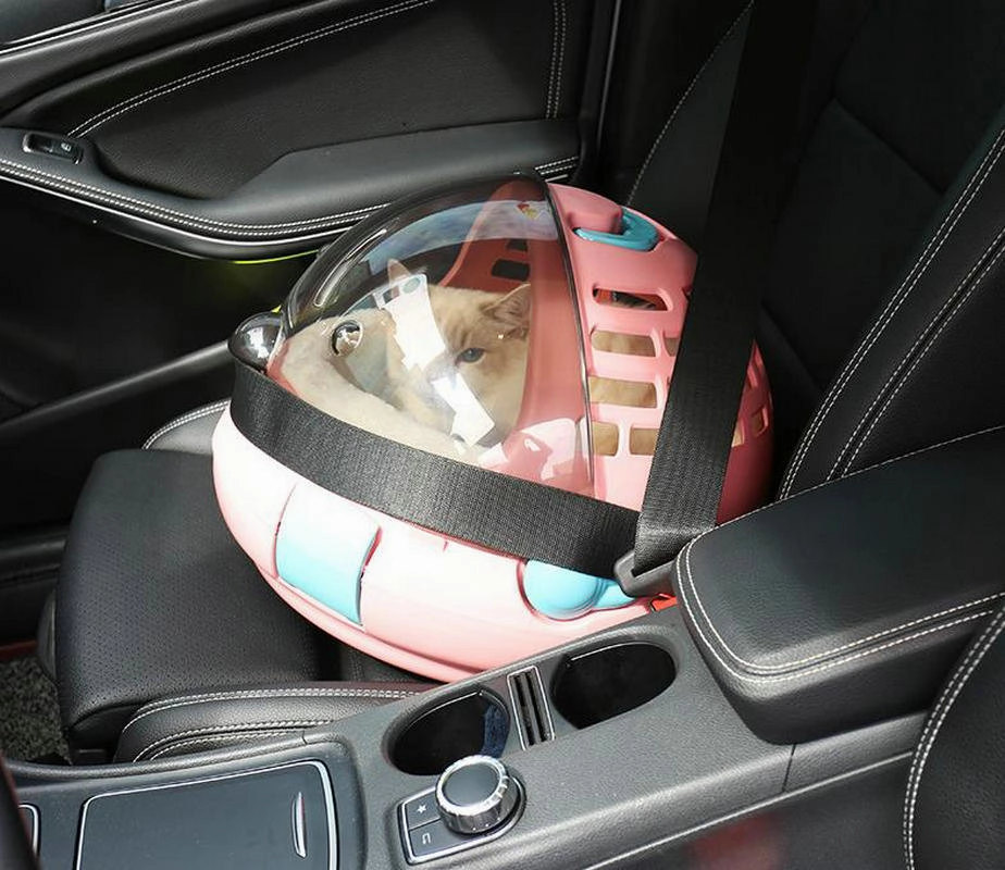 Space Capsule Pet Carrier Bag - Breathable Travel Backpack