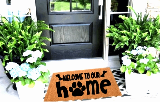 The Animals Home