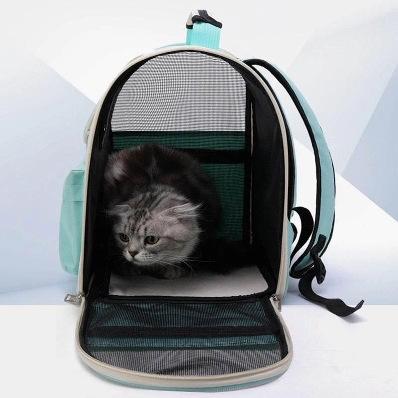 Transparent Cat Carrier Backpack - Breathable Pet Travel Bag