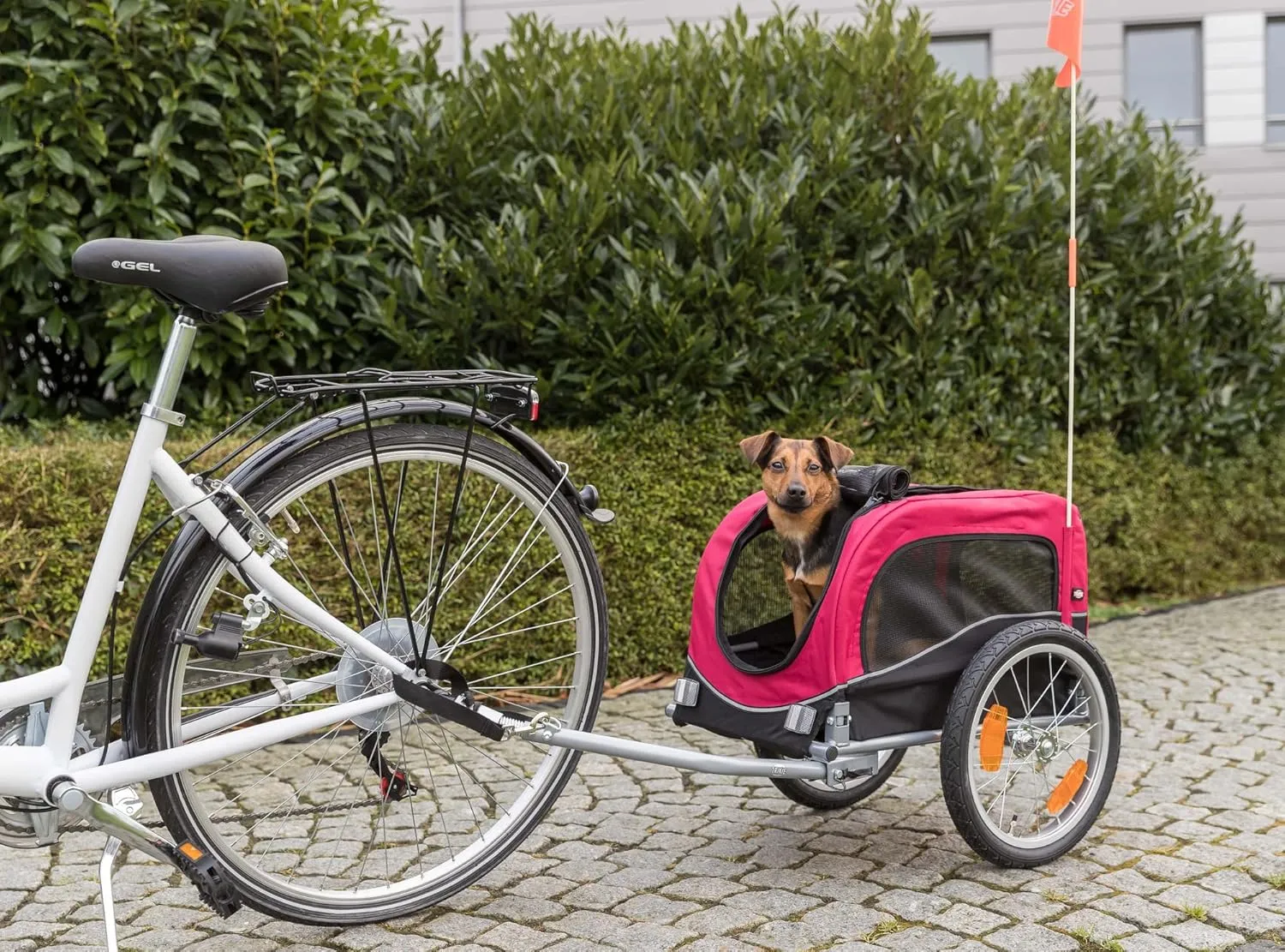 TRIXIE Dog Trailer for Bicycles, Dog Bike Trailer for Small Dogs up to 33 lbs, Quick Set-up and Fold Down, Red