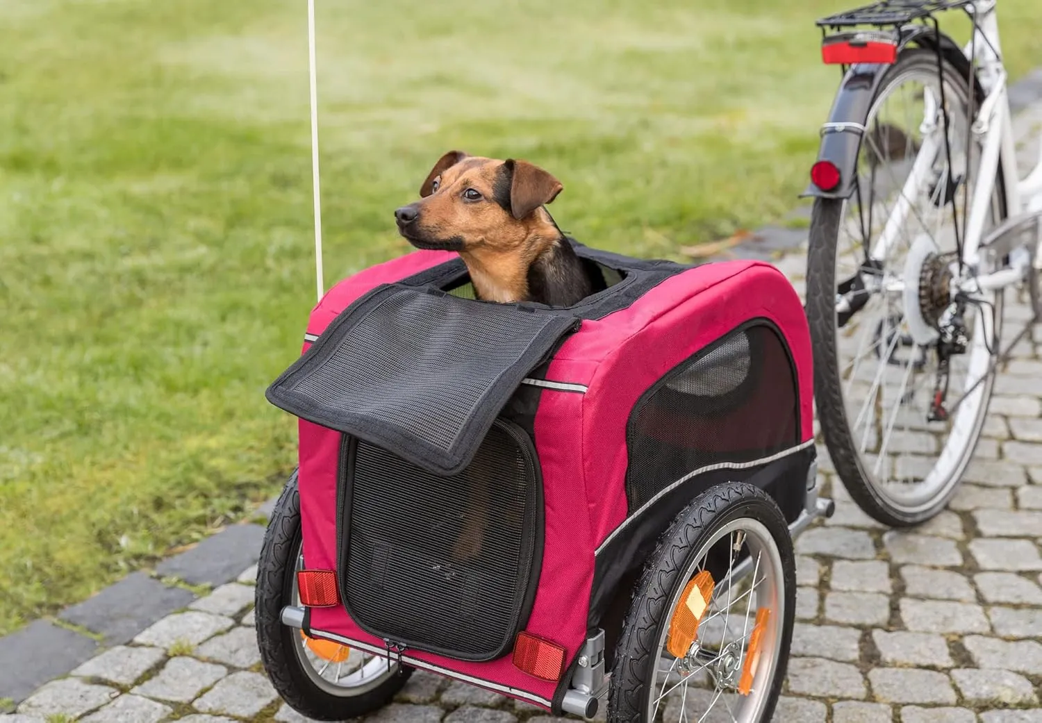 TRIXIE Dog Trailer for Bicycles, Dog Bike Trailer for Small Dogs up to 33 lbs, Quick Set-up and Fold Down, Red
