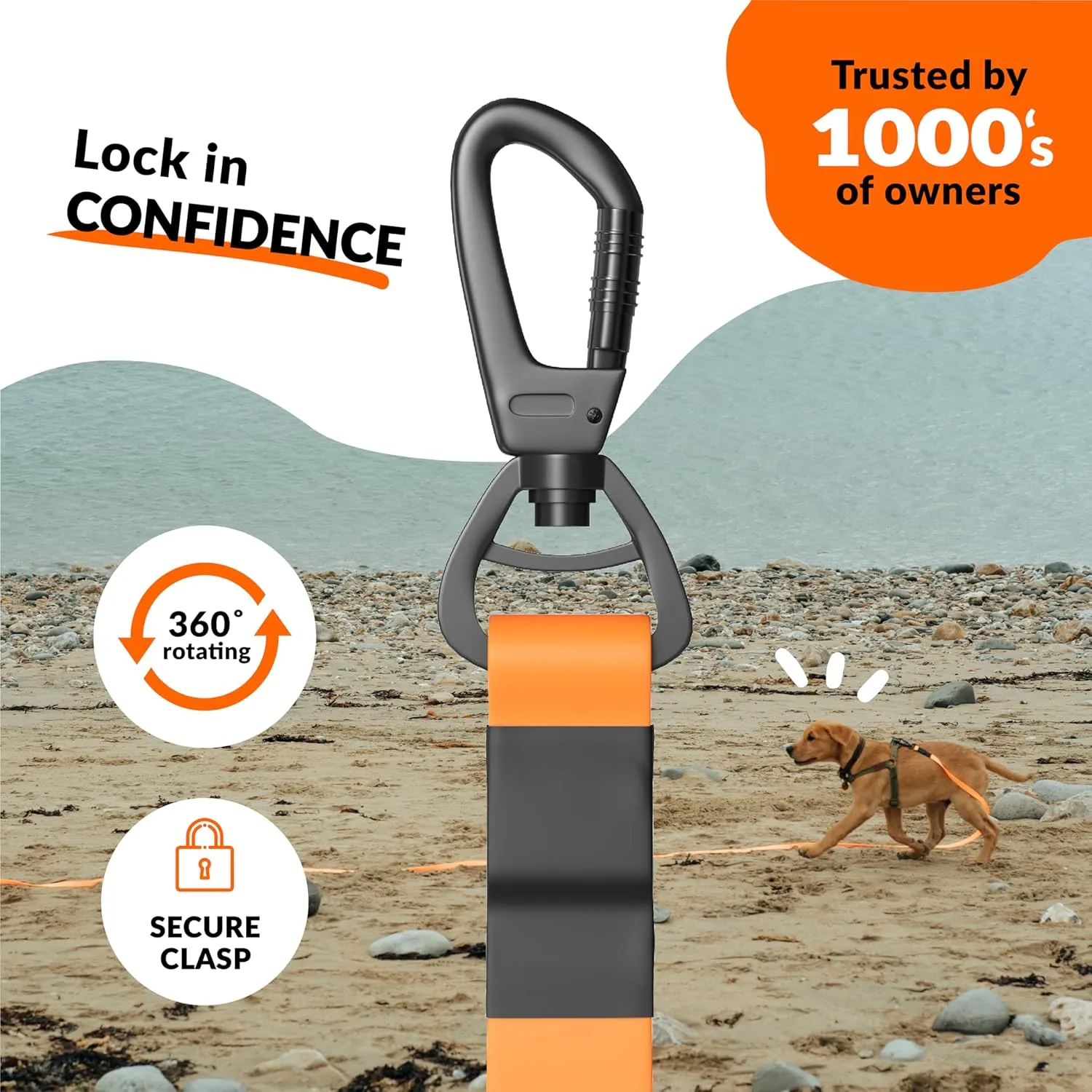 Unleash 30ft Waterproof Dog Training Long Leash for Dogs - Heavy Duty Long Dog Leash with Secure Locking Clasp - Tearproof Puppy Training Accessory - Built to Last with 289kg Force & Free Carry Bag