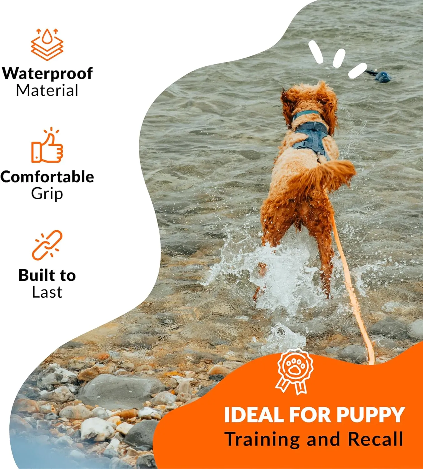 Unleash 30ft Waterproof Dog Training Long Leash for Dogs - Heavy Duty Long Dog Leash with Secure Locking Clasp - Tearproof Puppy Training Accessory - Built to Last with 289kg Force & Free Carry Bag