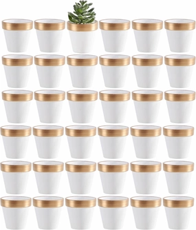 Yishang 36 pcs Small Mini White&Gold Clay Pots, 2.5'' Terracotta Pot Clay Ceramic Pottery Planter,Cactus Flower Terra Cotta Pots,Succulents Nursery Pots,with Drainage Hole, for Crafts,Wedding Favor