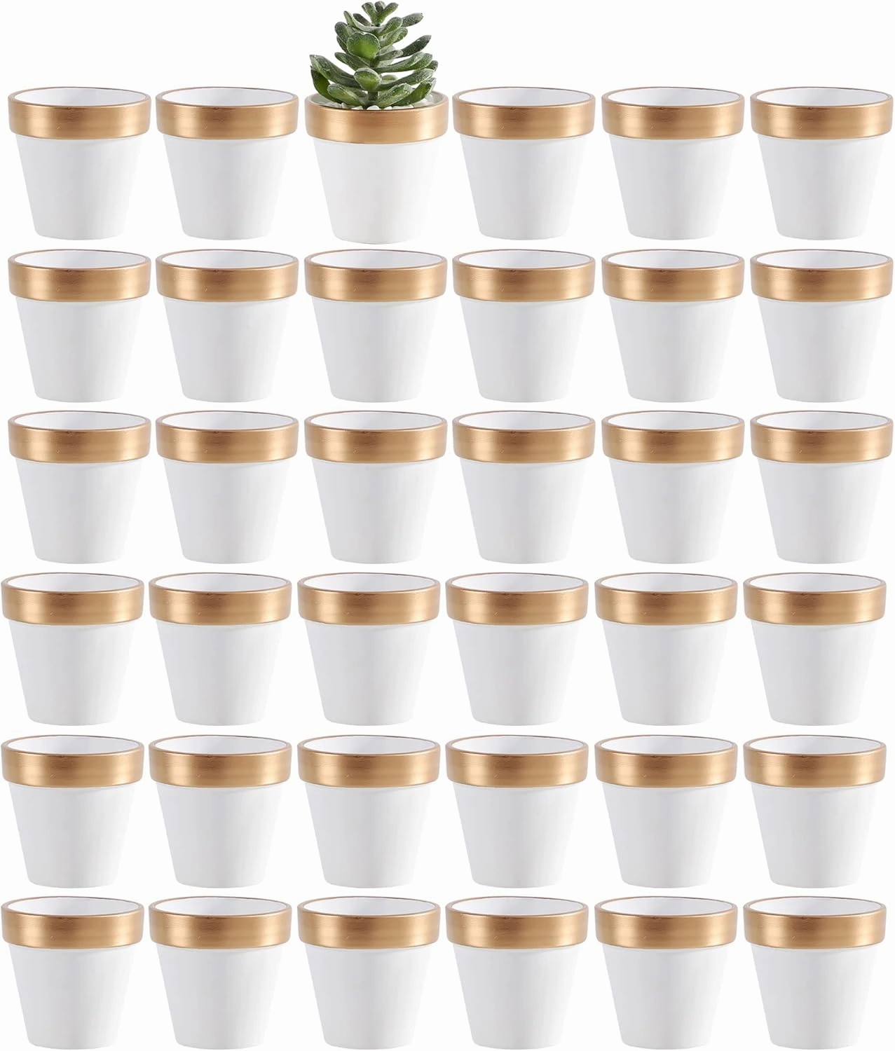 Yishang 36 pcs Small Mini White&Gold Clay Pots, 2.5'' Terracotta Pot Clay Ceramic Pottery Planter,Cactus Flower Terra Cotta Pots,Succulents Nursery Pots,with Drainage Hole, for Crafts,Wedding Favor