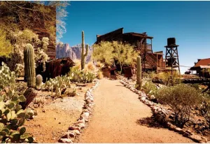 YongFoto Arizona Western Wilderness Desert Backdrop 8x6ft Blue Sky Sand Dunes Prickly Mexico Cactus Saguaro Wooden Building Photography Background Wild West Cowboy Party Banner Portrait Photoshoot