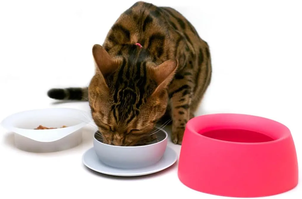 Yummy Travel Bowls – BPA-Free Silicone, 3-in-1 Travel Bowl Set for Dogs and Cats (Small, Very Berry)