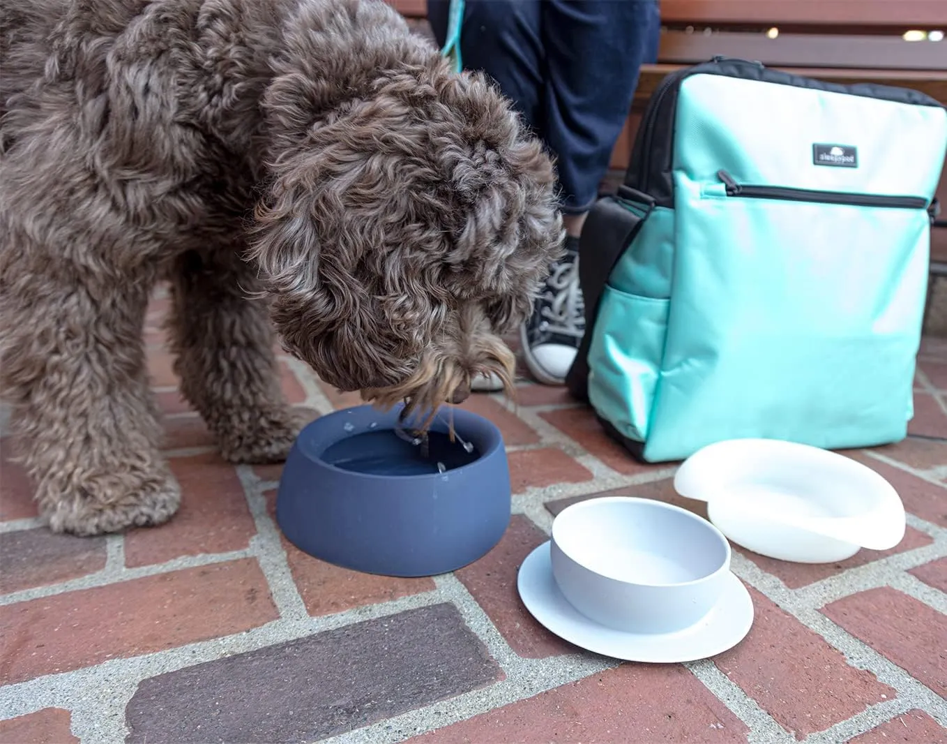 Yummy Travel Bowls – BPA-Free Silicone, 3-in-1 Travel Bowl Set for Dogs and Cats (Small, Very Berry)